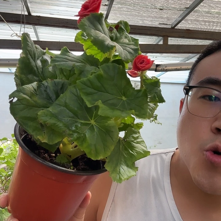 专***制完全开放瑕疵公主粉