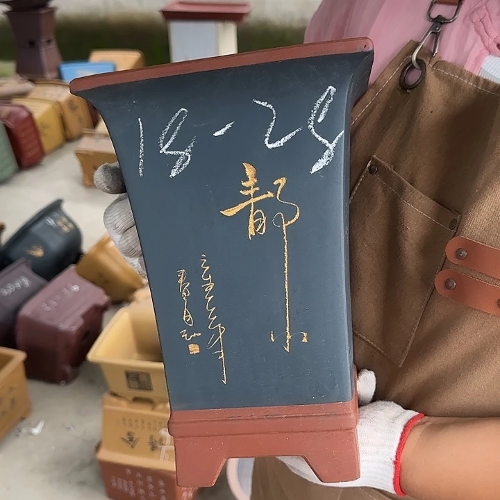 真的想看这篇了哈哈