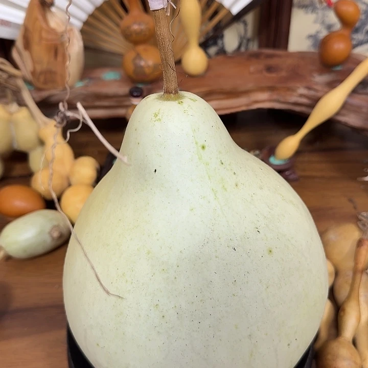 煤***罐ycucoucoucoycohcohcohcohcou