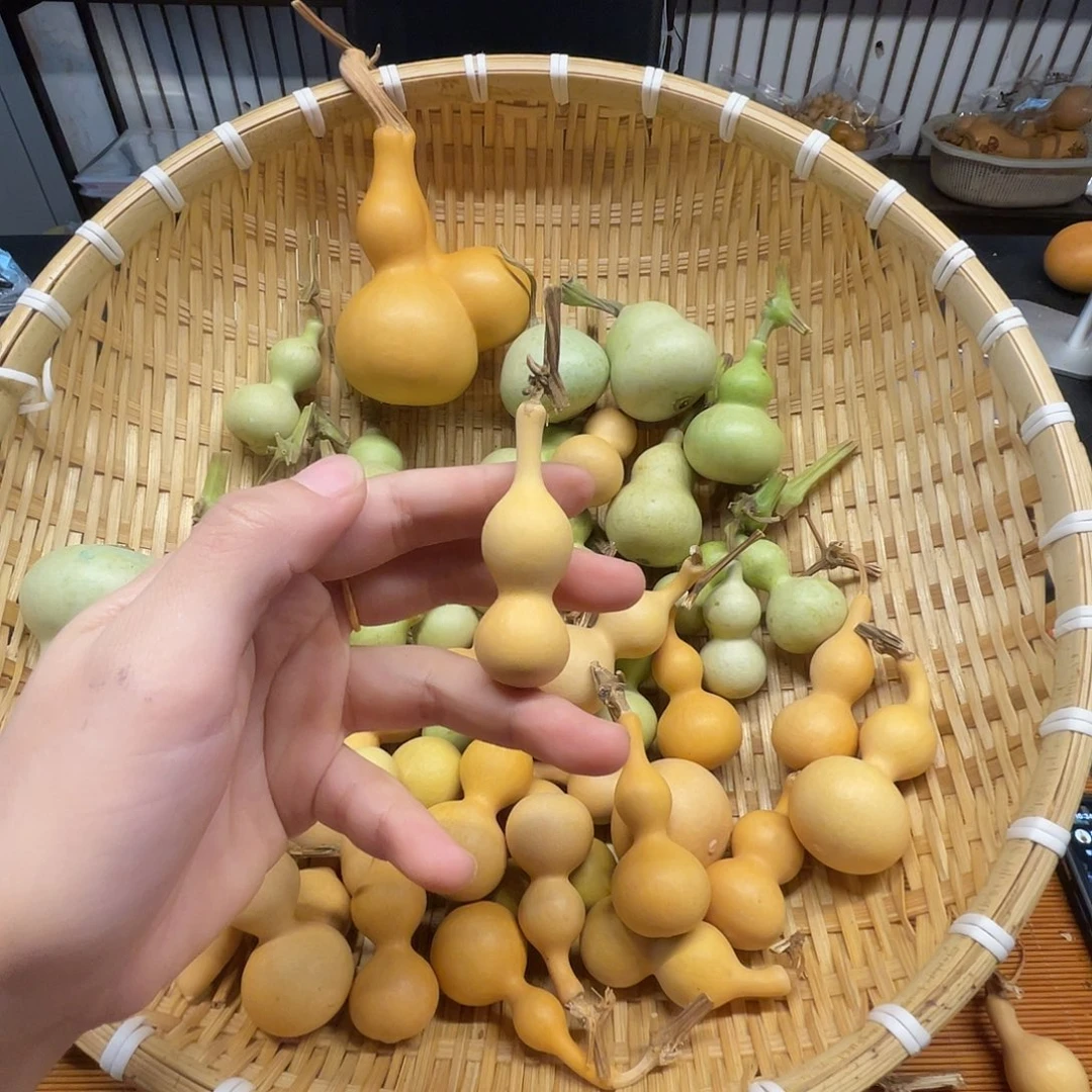 转***上葫芦娃兄弟姐妹葫芦兄弟