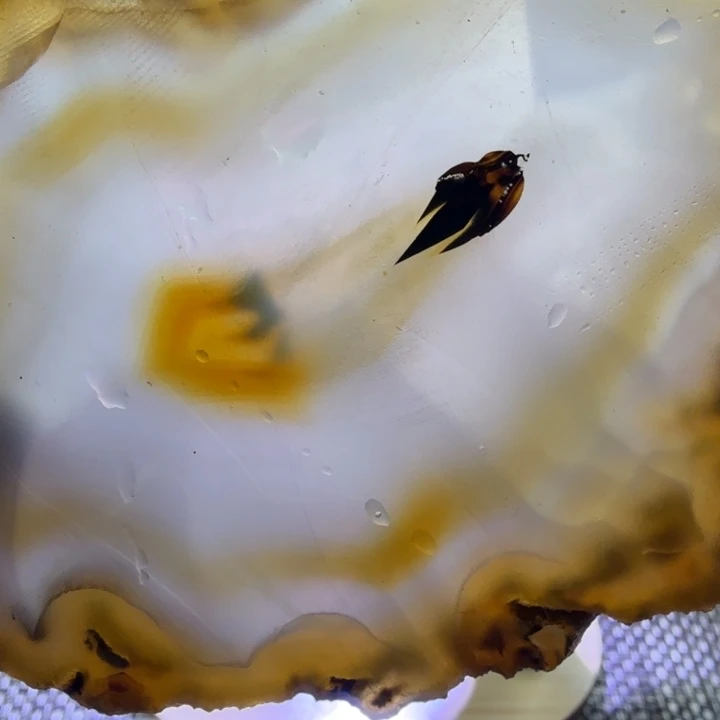 玛瑙/玉髓未镶嵌巴玉玛瑙象形