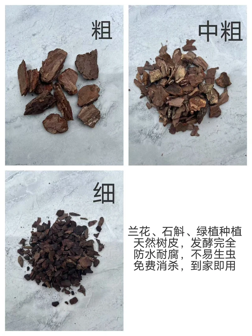 《寻花觅语》大花惠兰专用换盆树皮（松树皮）免消杀到手及用中通包邮