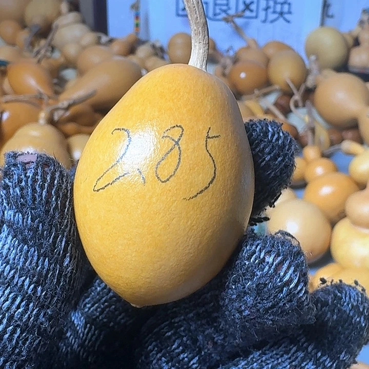 木质非金属文玩葫芦