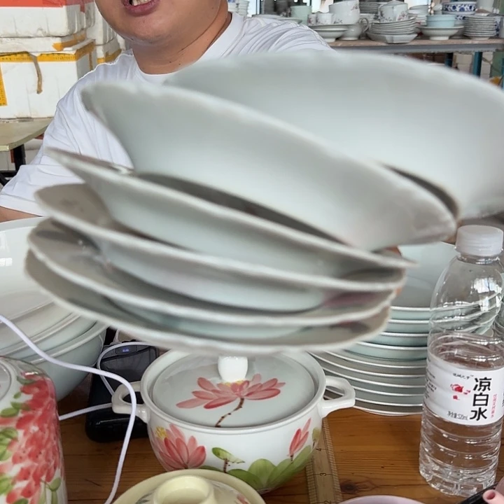 景德镇高温微瑕广东母鸡7寸太阳花盘5个