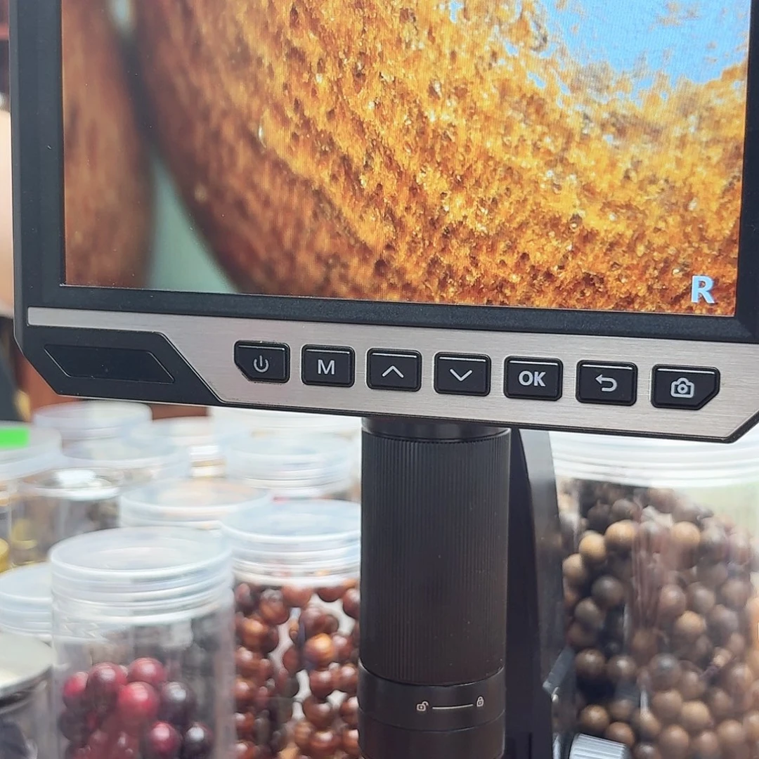 沉香沉香碎屑1123