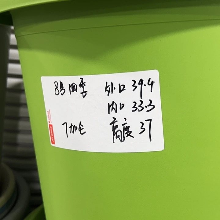 特价8号口39高37白色无托5支