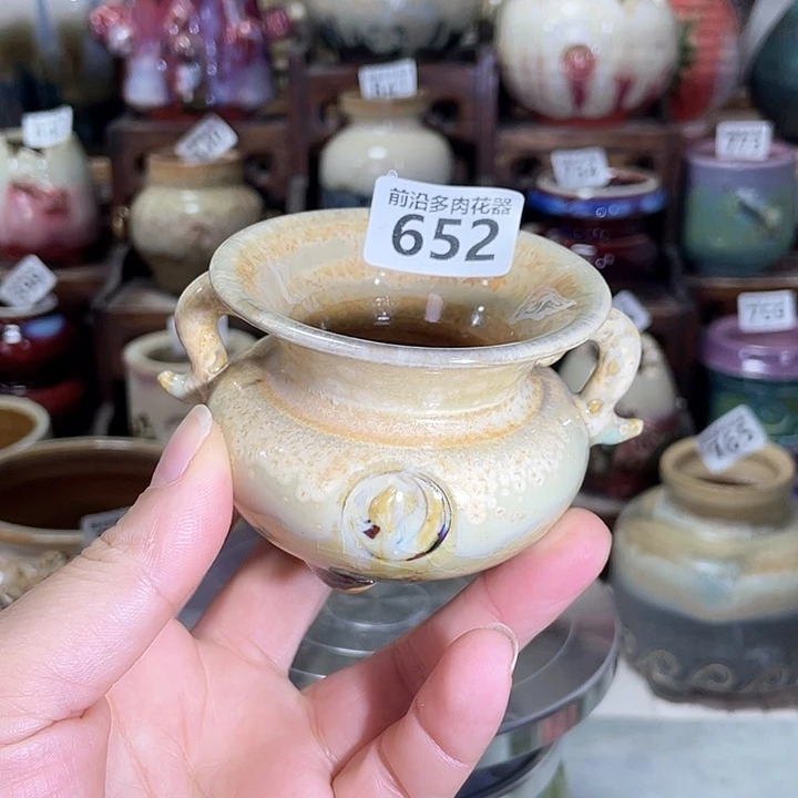 红陶内口径6高度6