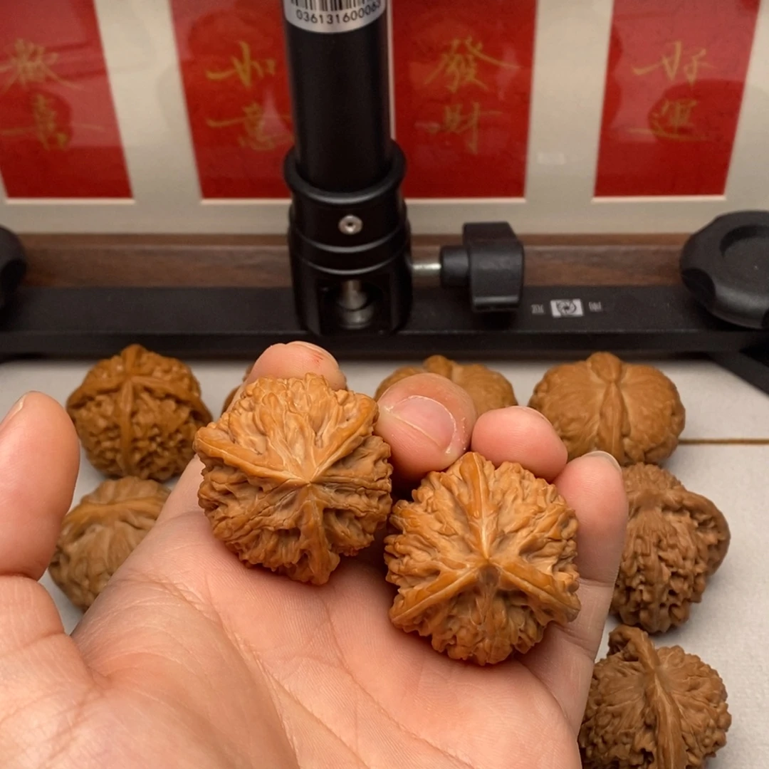 大***头核桃全品精配御龙