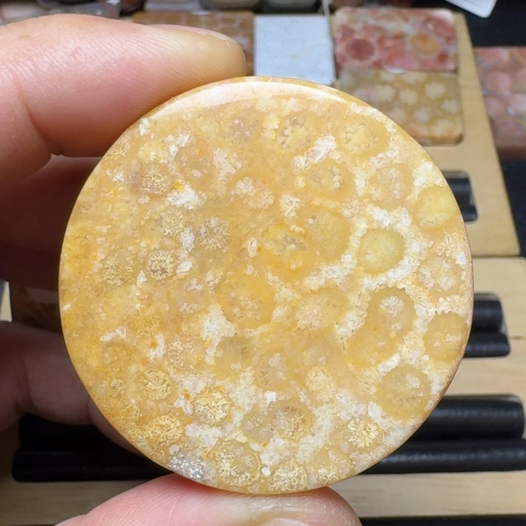 硅化玉纯天然色有机玉石手镯芯未镶嵌