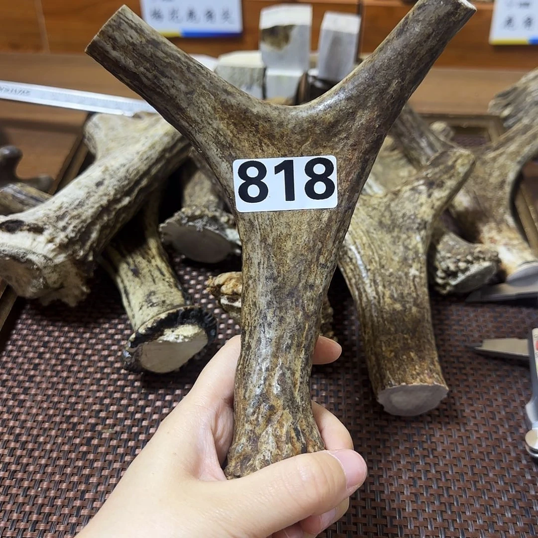 手串/手链鹿骨818弹弓19*14.2*2.8cm