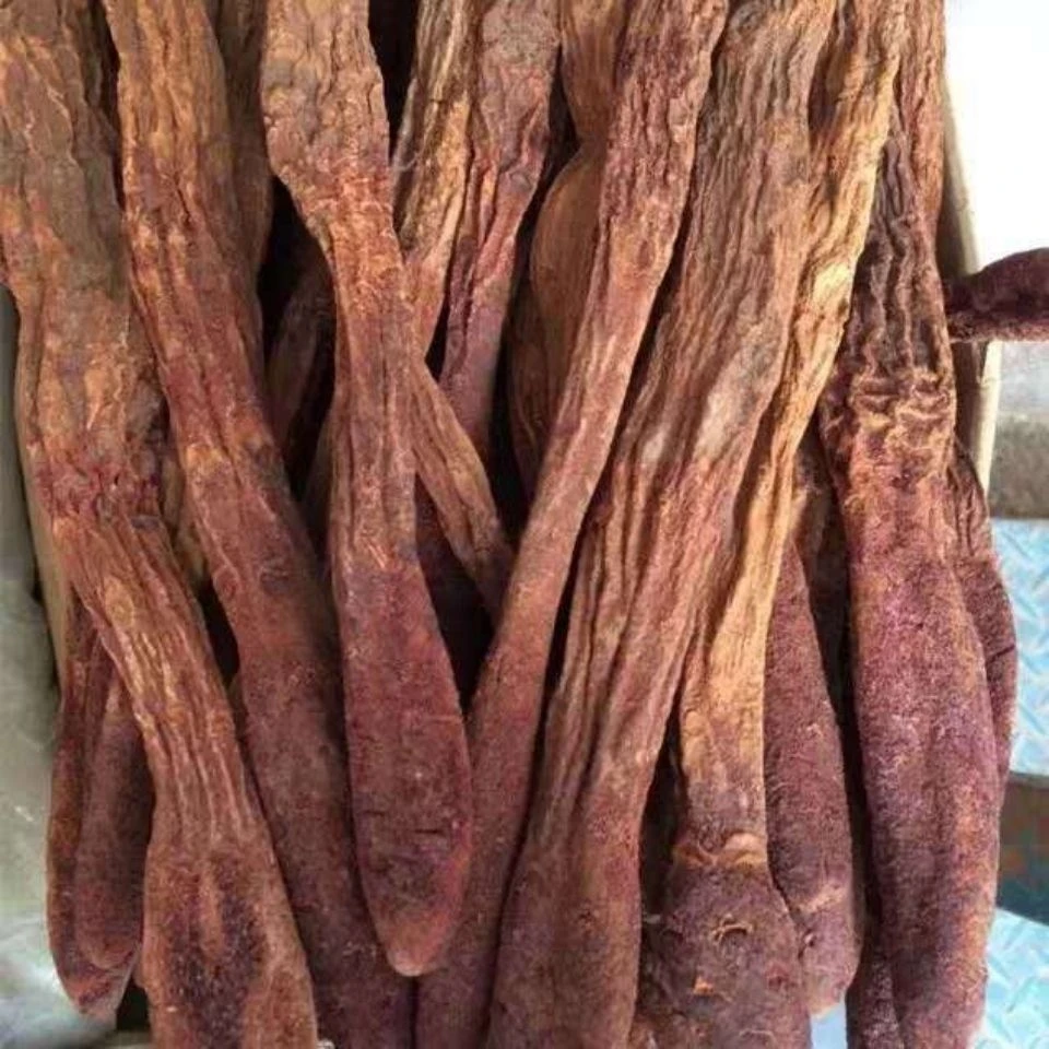野生锁特级精选货当季新货无熏无硫整根切片泡酒煮水煲粥