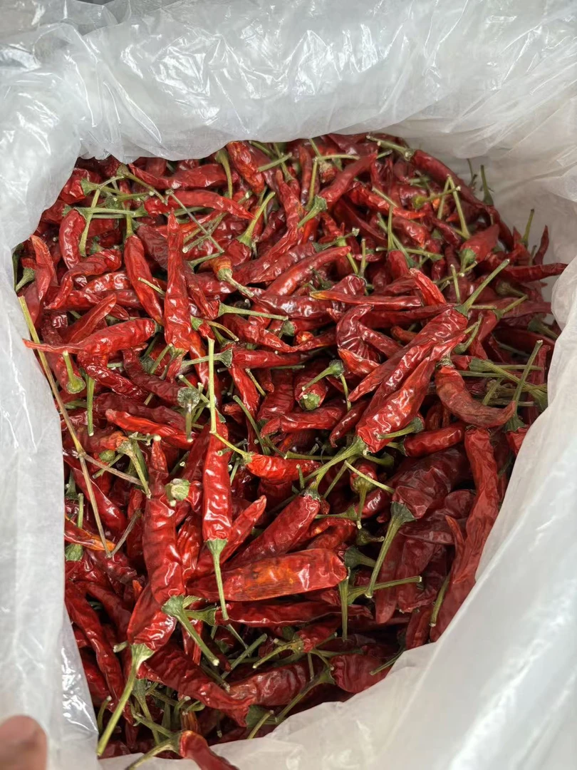 贵州遵义农户自然风干朝天辣&干红辣椒（香辣）