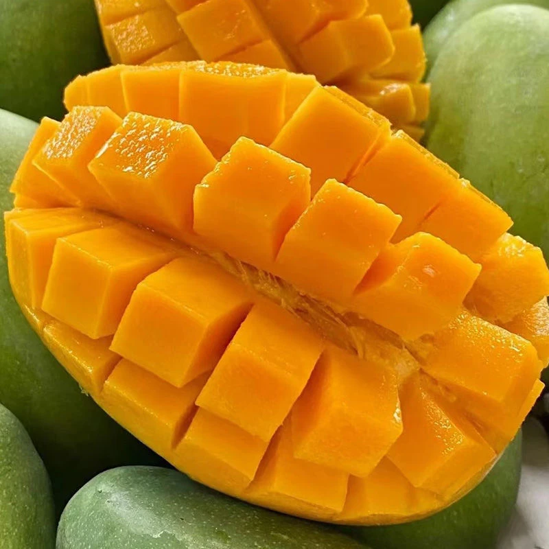 【正宗】云南大青芒香甜多汁新鲜应季热带水果皮薄肉厚包邮J