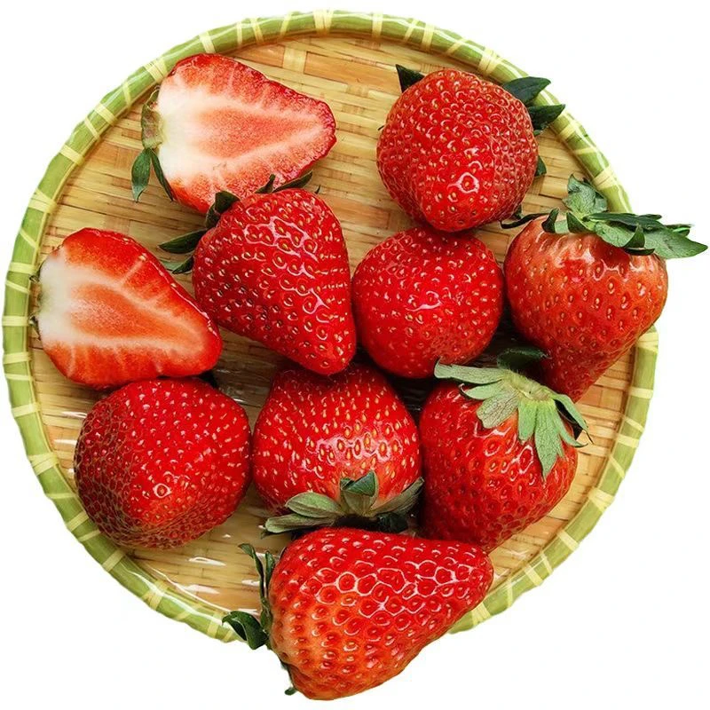 【中果，丹东九九草莓】红颜草莓（毛重4.5-5斤）75-82颗