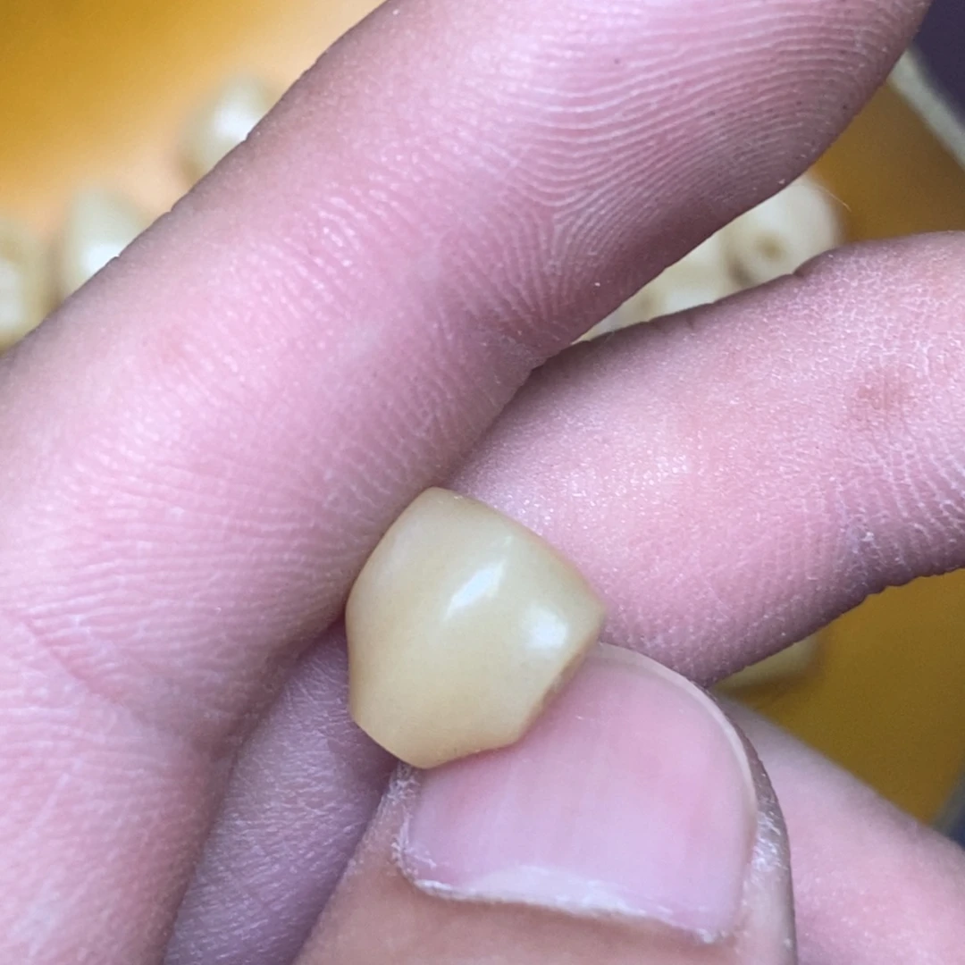 手串/手链驼骨0.9尺寸灵骨,71