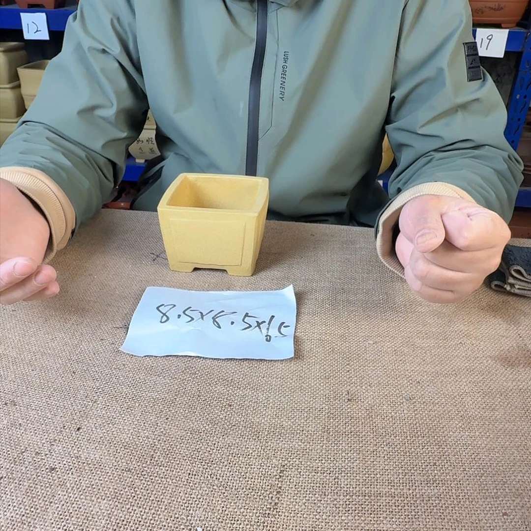 宜兴紫砂闪购链接