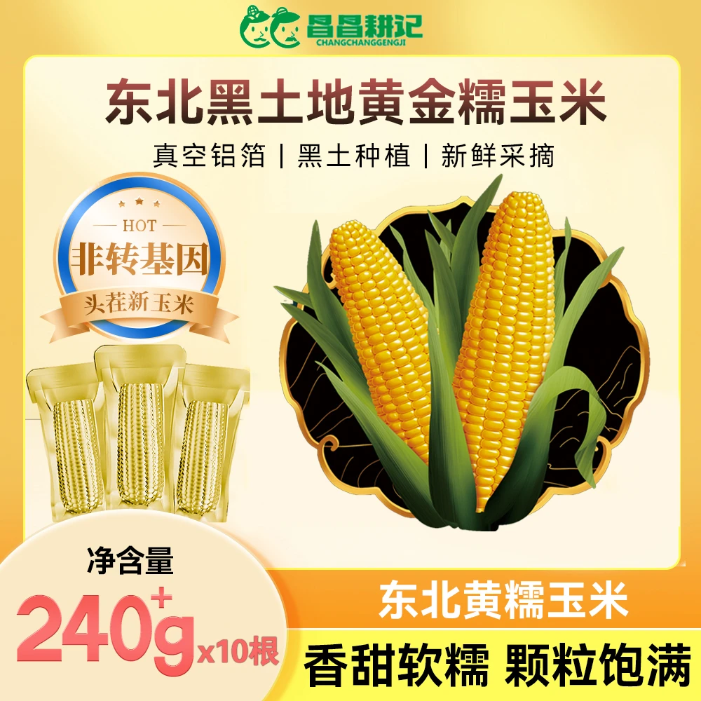 昌昌耕记东北非转基因糯玉米 铝膜真空包装 白糯黄糯240g*10根