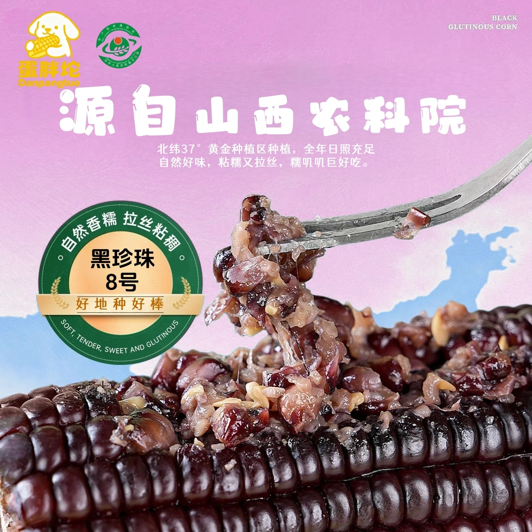 山西当季头茬黑珍珠糯玉米新鲜采摘软糯香甜真空包装