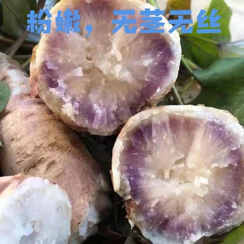 广西灵山农家自种花心红薯25年新鲜现挖沙粉香甜。