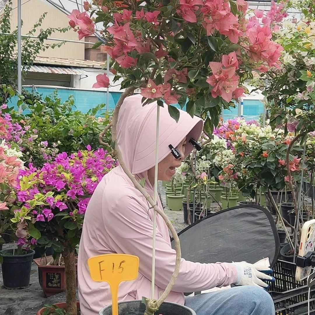 珑***藏大部分花苞少量开放F15卡亚塔