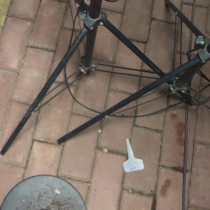 555    车厘子加库存