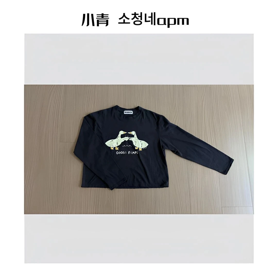 韩国东大门 BAL/碰拳裂纹小鸭子字母T恤