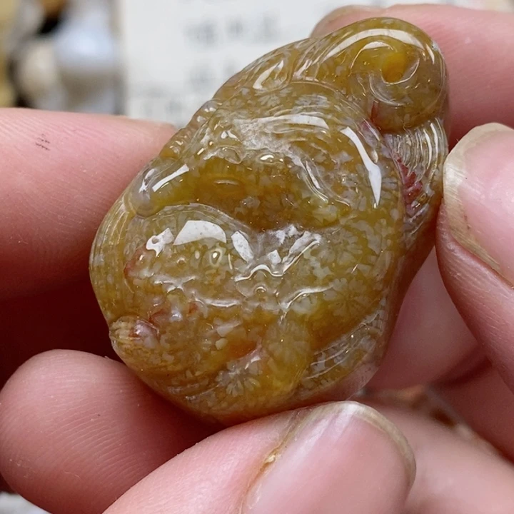 颈饰未镶嵌硅化珊瑚（珊瑚玉）有瑕 小