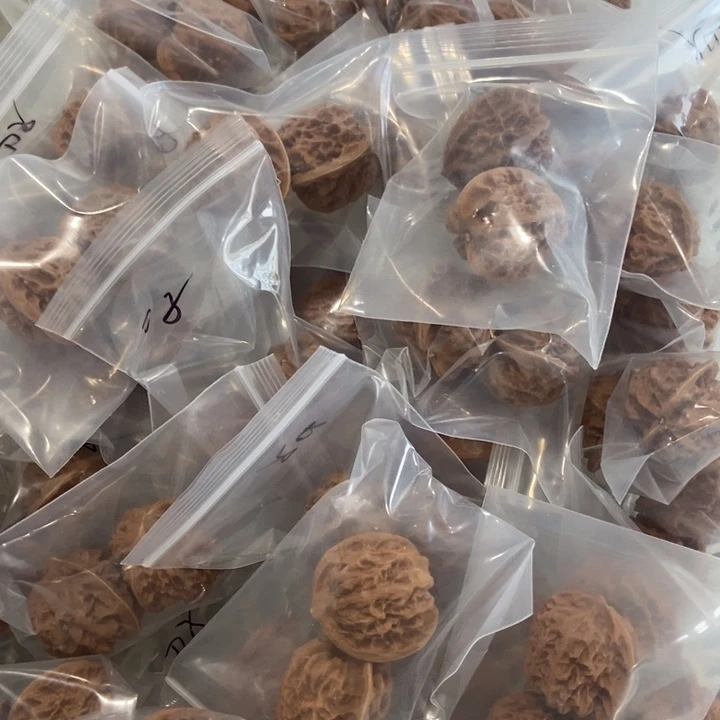 吊坠文玩核桃刀子瑕疵