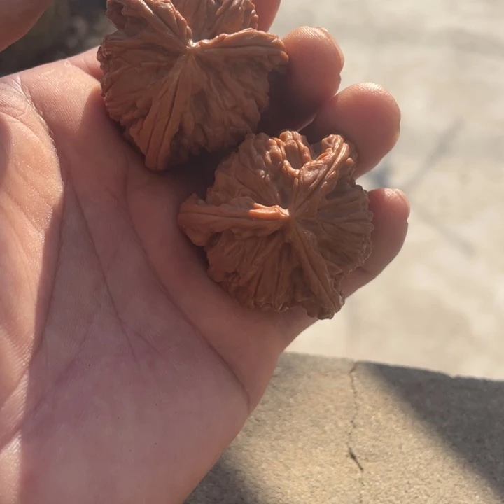 H***哥吊坠文玩核桃三棱三棱三棱三棱