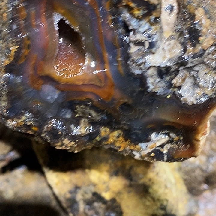 行***饮定制玛瑙地摸一下我