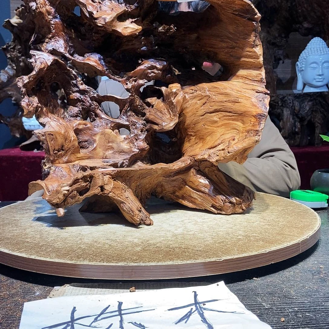 大***督398株木随行的小根艺