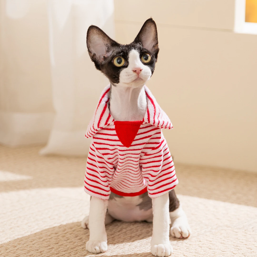 新款秋冬款猫咪衣服两脚款保暖绒衣服条纹德文猫无毛猫宠物衣服