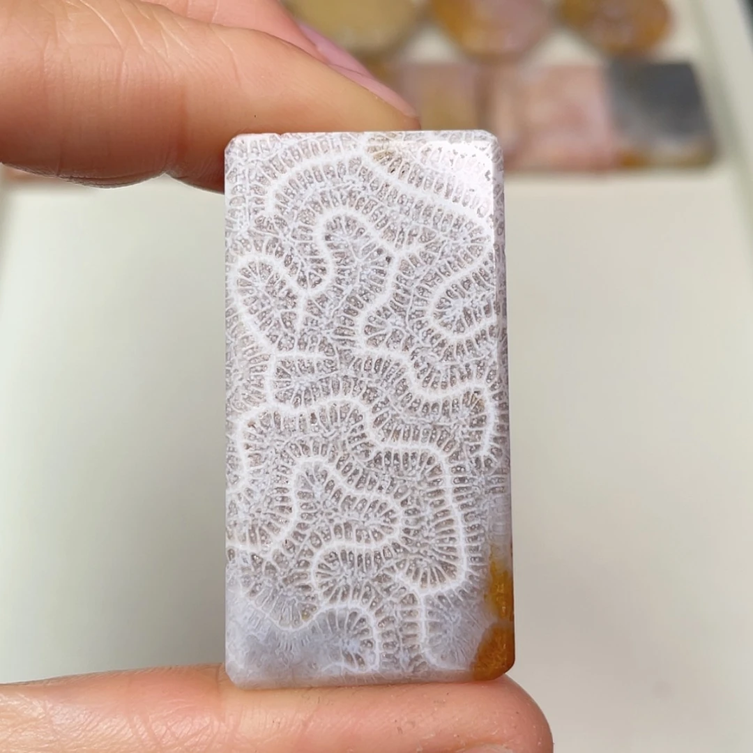 【闪购商品】未镶嵌吊坠(赠链)硅化玉