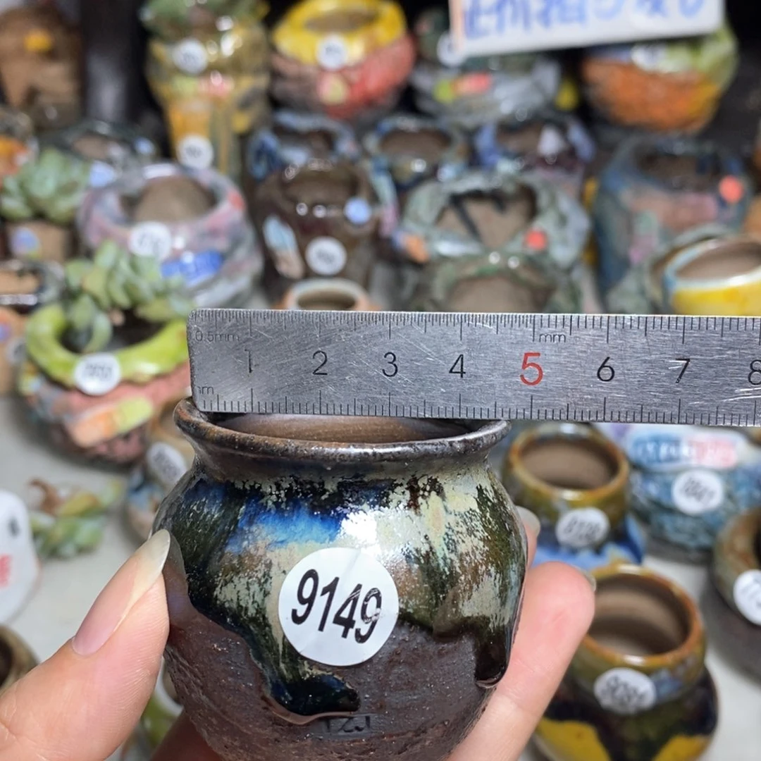 拍5送一个小礼物
