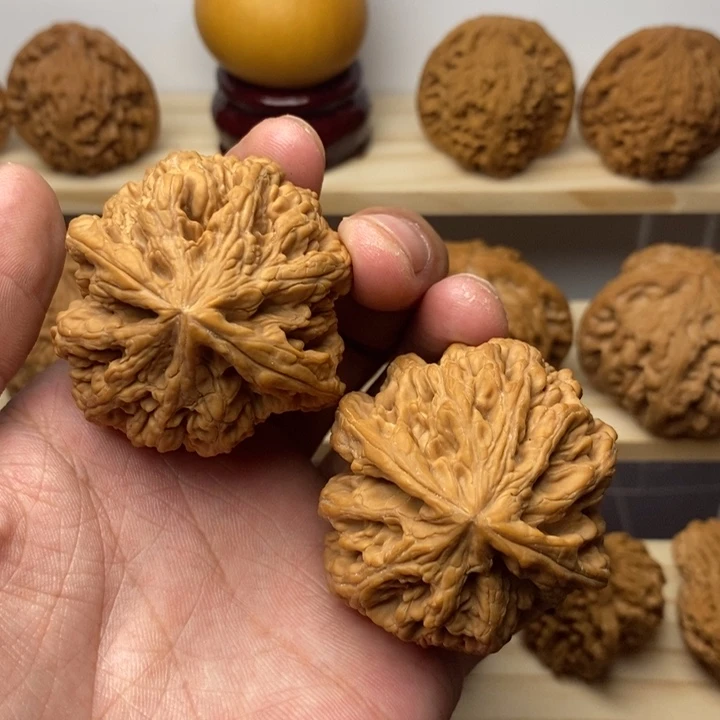 把件核桃47尺全品大粗筋一物一图