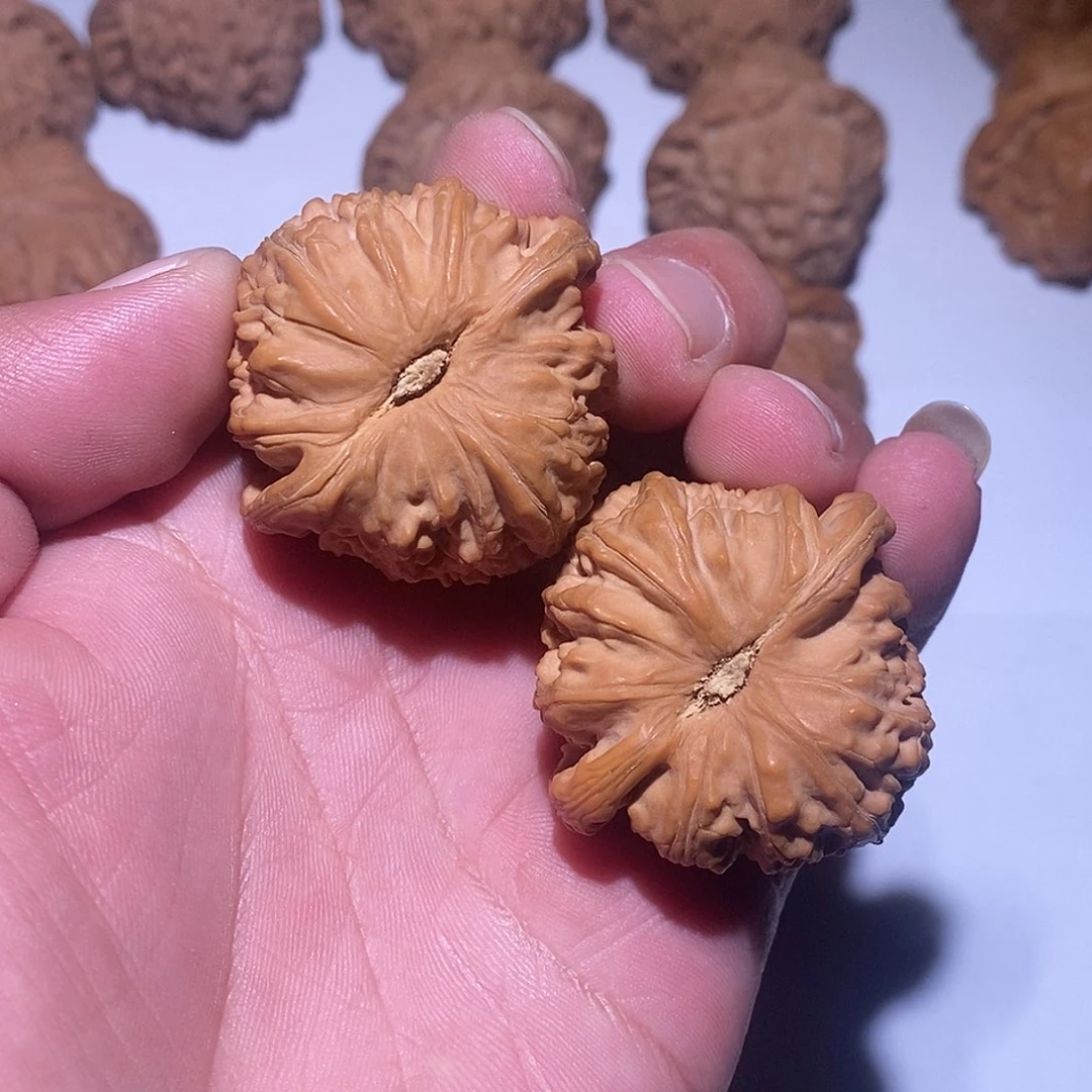 把件文玩核桃白狮子