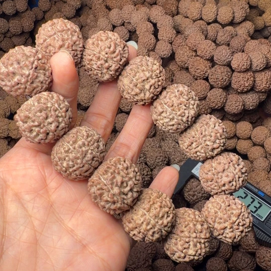 金刚菩提手串8瓣卡24尺，103号