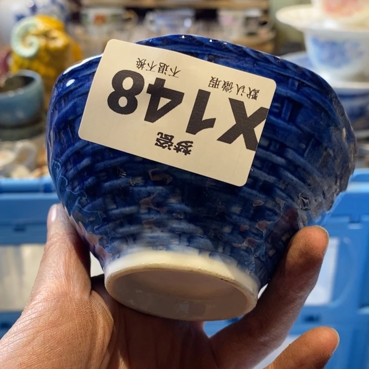 大***猫瓷片哈哈哈哈哈哈哈哈哈