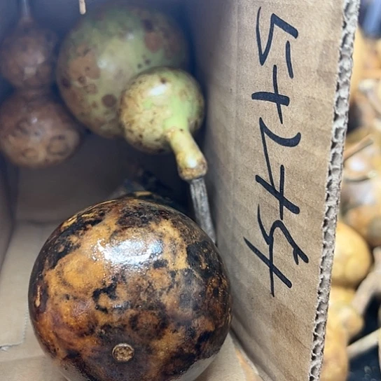 懂****1葫芦葫芦葫芦葫芦