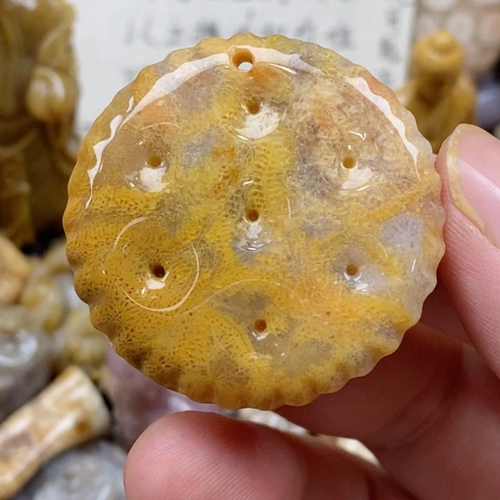 颈饰未镶嵌硅化珊瑚（珊瑚玉）