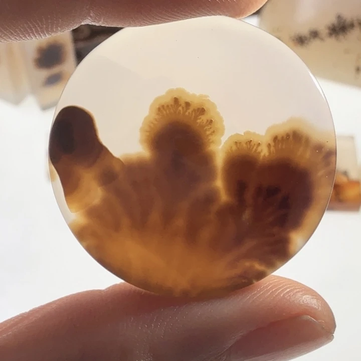 玛瑙/玉髓未镶嵌珠宝半成品