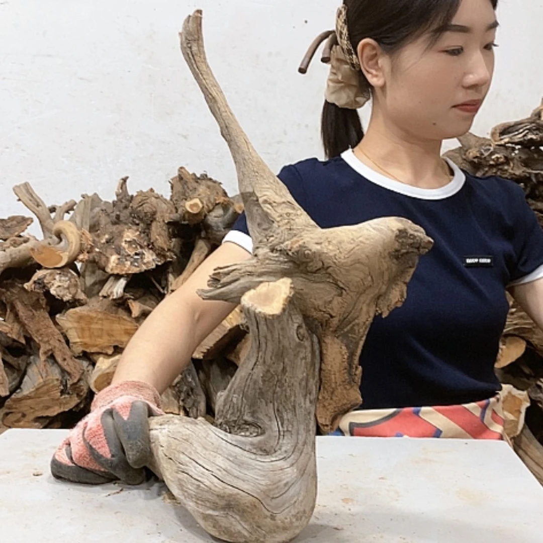 【闪购商品】柏木木*人我们都是好孩子啊