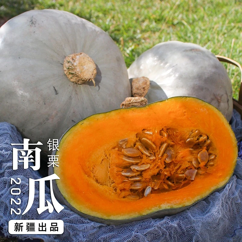 新疆沙漠银板栗老南瓜粉糯香甜可作辅食代餐蔬菜