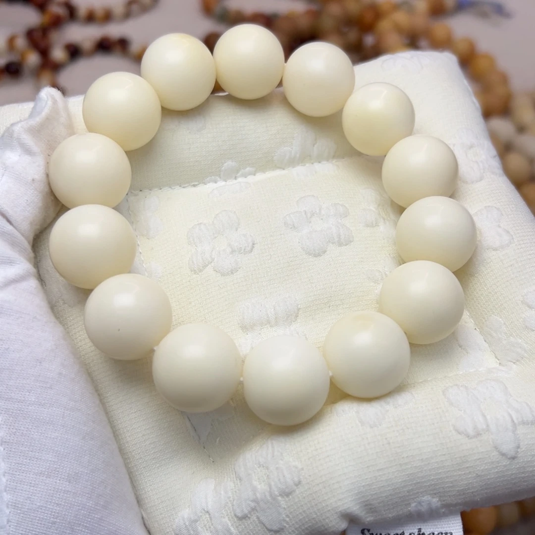 菩提根/象牙果吊坠20微瑕干磨213