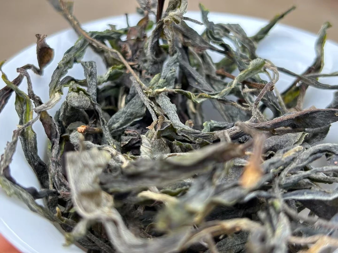 马台岩茶2025年普洱茶生茶200克