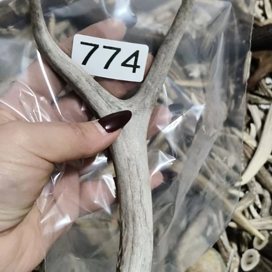 赌***徒鹿角鹿角鹿角鹿角鹿角鹿角