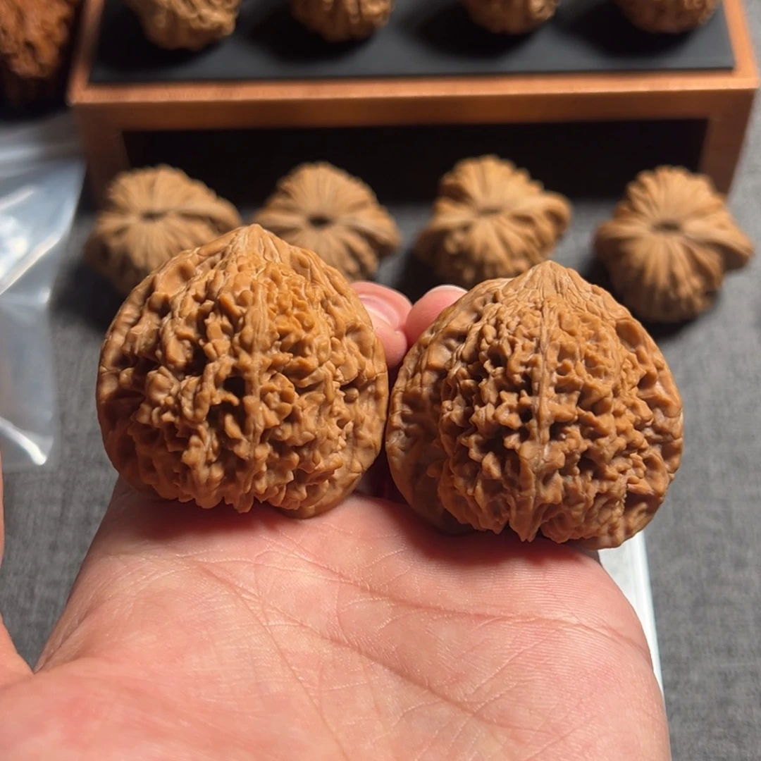 文玩核桃把件用****444满天星