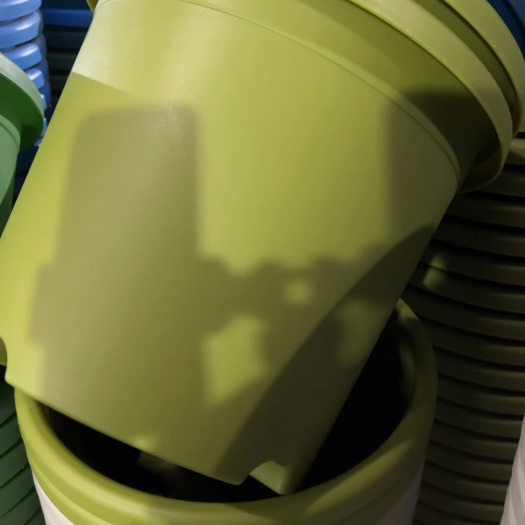 树脂特价5#无拖果绿6个