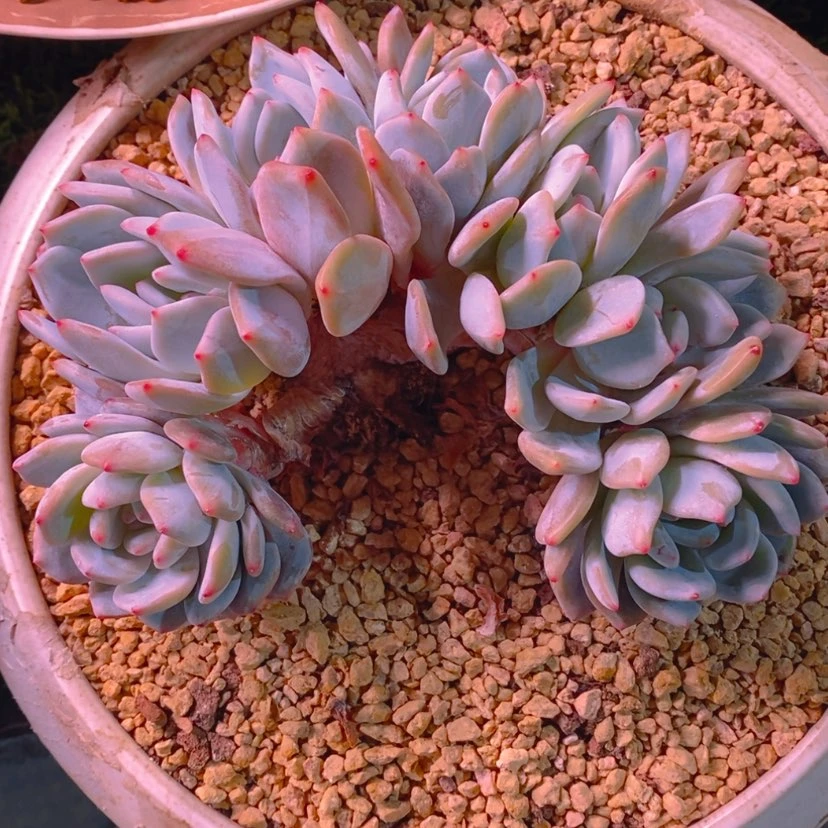 【闪购商品】㒳11111111