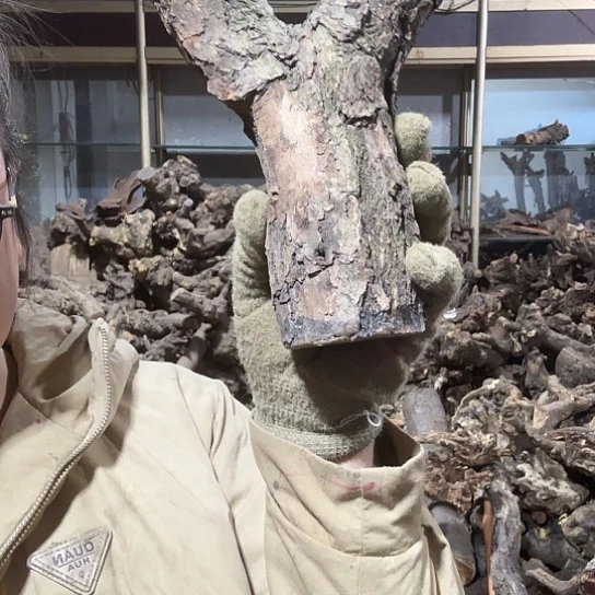 香榧木付**玩火琉璃的故事毛料摆件